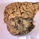 A sample of the Heslington brain.